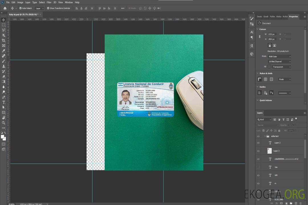 Argentine DL photolook AVANT template Argentine DL photolook AVANT template